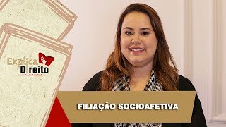 Explica Direito Filiação Socioafetiva  2019 [upl. by Andriana]