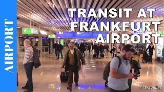 TRANSIT WALK AT FRANKFURT Airport FRA Terminal 1  Connection Flight Transfer Arriving amp Departing [upl. by Addia604]